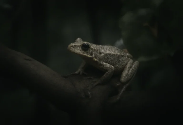 AI-generated image of a gray tree frog on a branch at night