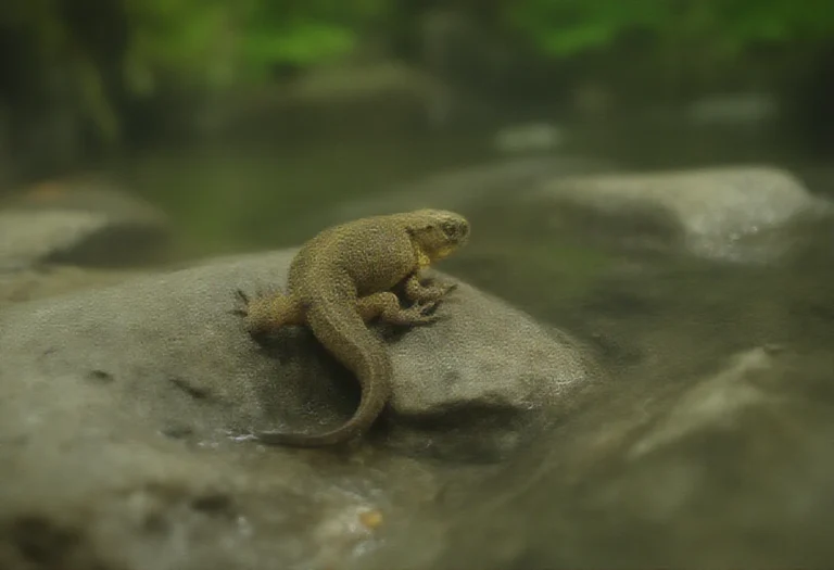 AI-generated image of a small newt on a stone beside shallow water in an aquarium