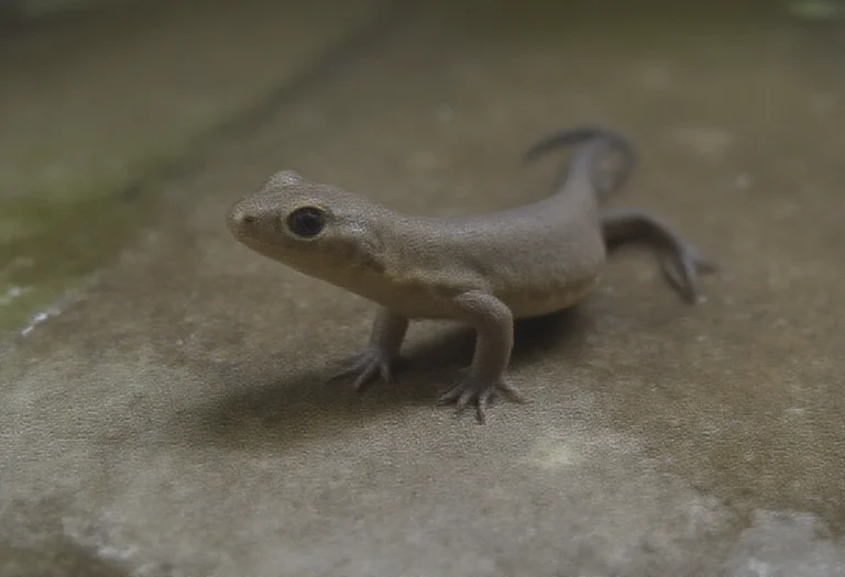 AI-generated image of a newt with a long tail resting on a wet stone