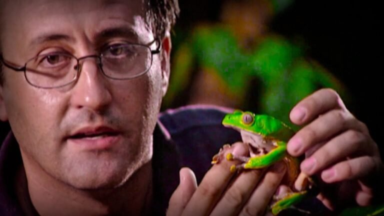 What Happens If You Touch a Poison Dart Frog?
