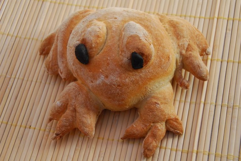 Can Frogs Eat Bread?