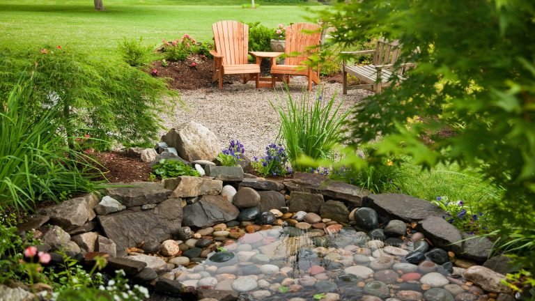 Frog Pond : A Refreshing Oasis for Relaxation and Serenity