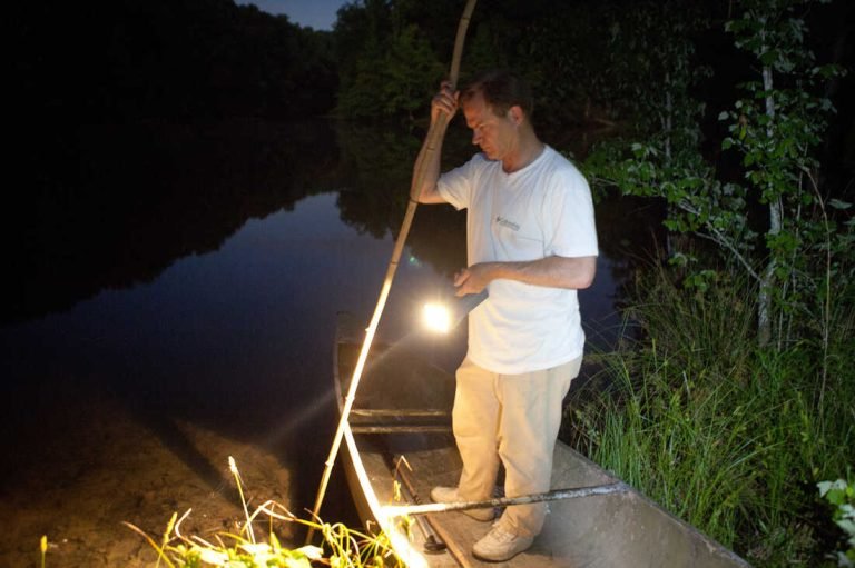 Frog Gigging : The Ultimate Guide to Catching Your Dinner