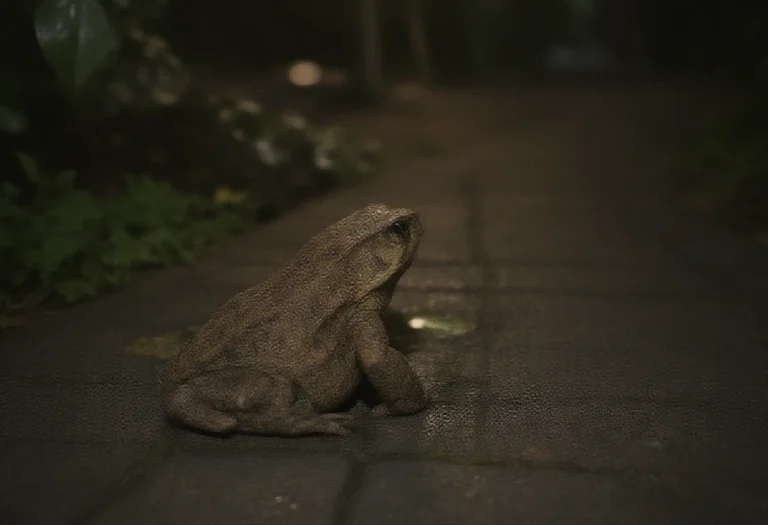 AI-generated image of a single toad sitting on a garden path at night