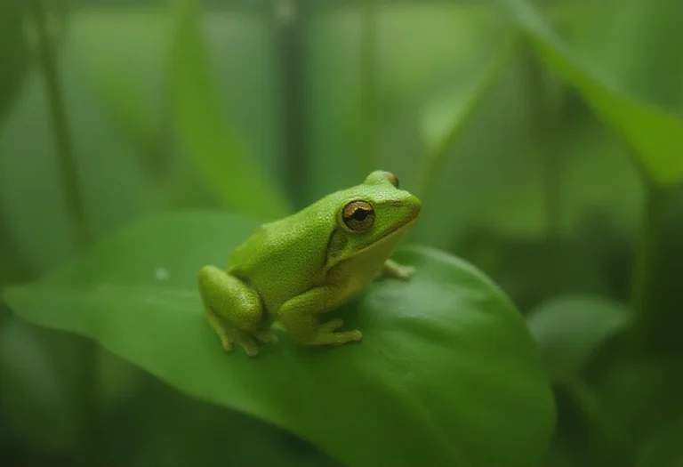 AI-generated image of a single green frog on a leaf