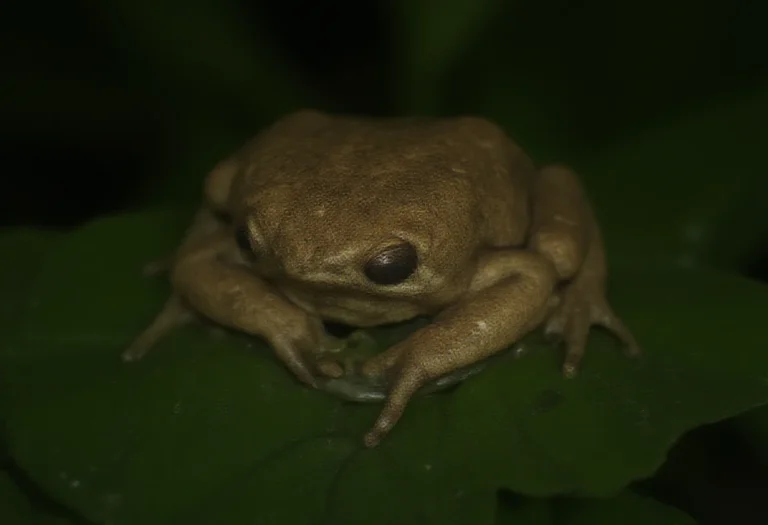 AI-generated image of a single frog on a leaf