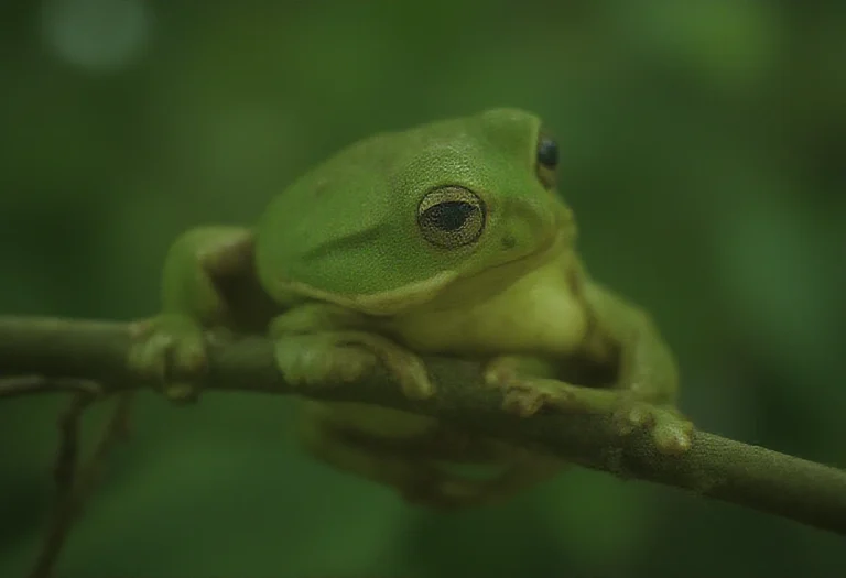 AI-generated image of a single green frog on a leafy branch