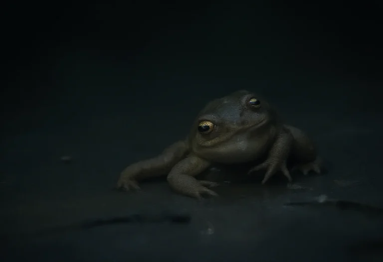 AI-generated image of a single frog at a pond edge at night