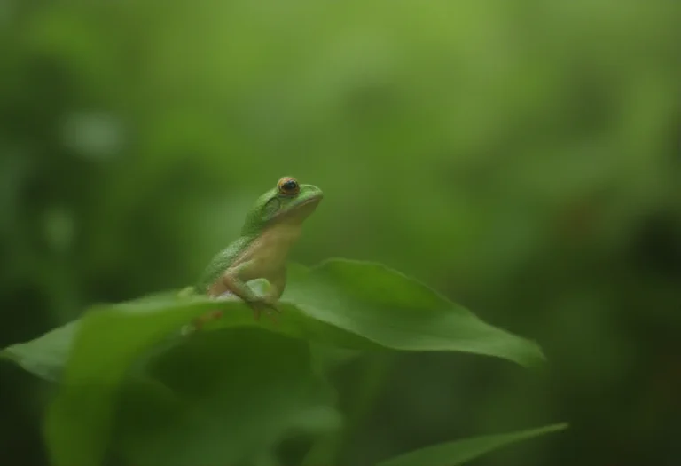 AI-generated image of a single green frog on a leaf in a terrarium