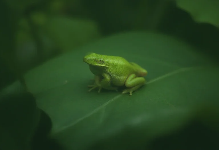 AI-generated image of a single green frog on a leaf in a rainforest