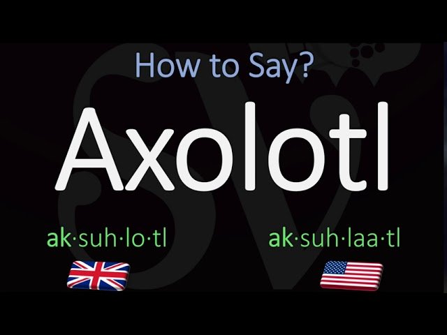 How to Pronounce Axolotl