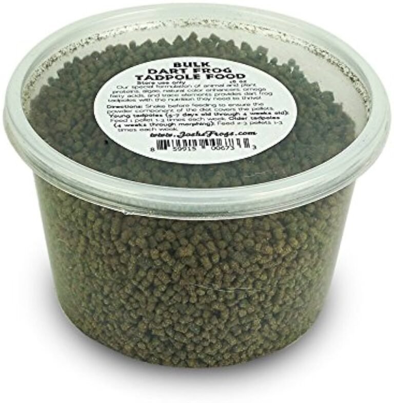 best food for dart frog tadpoles
