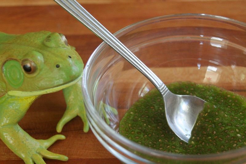 how to make homemade frog food?