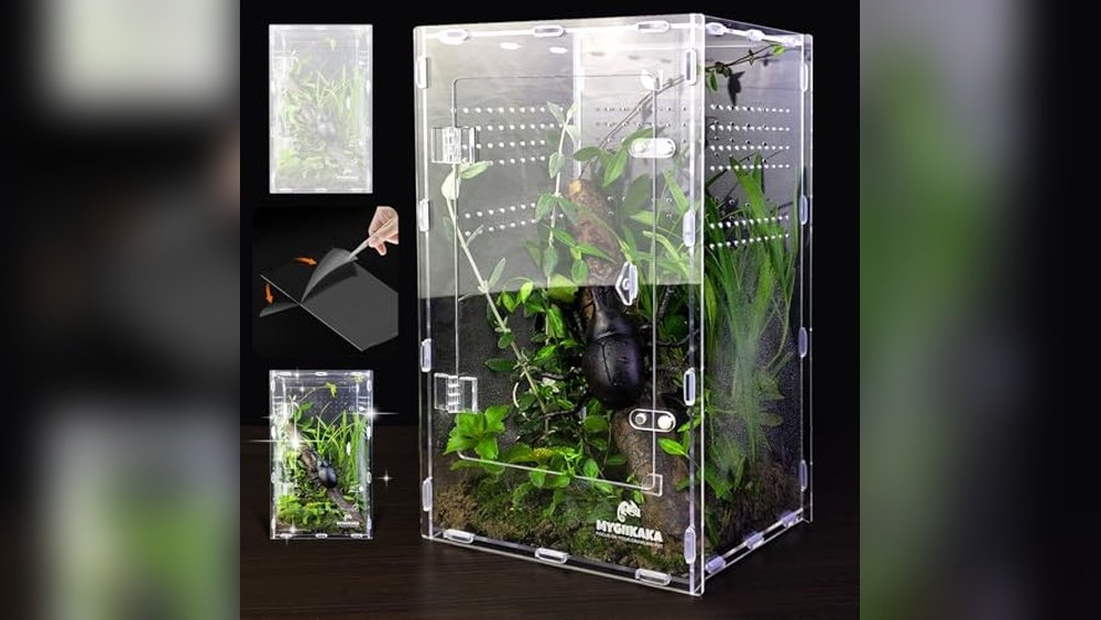 Best Acrylic Enclosure for Dart Frogs
