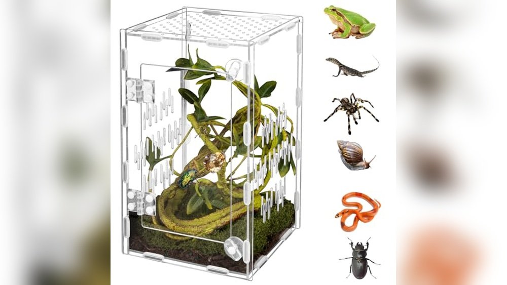 Best Acrylic Terrarium for Dart Frogs