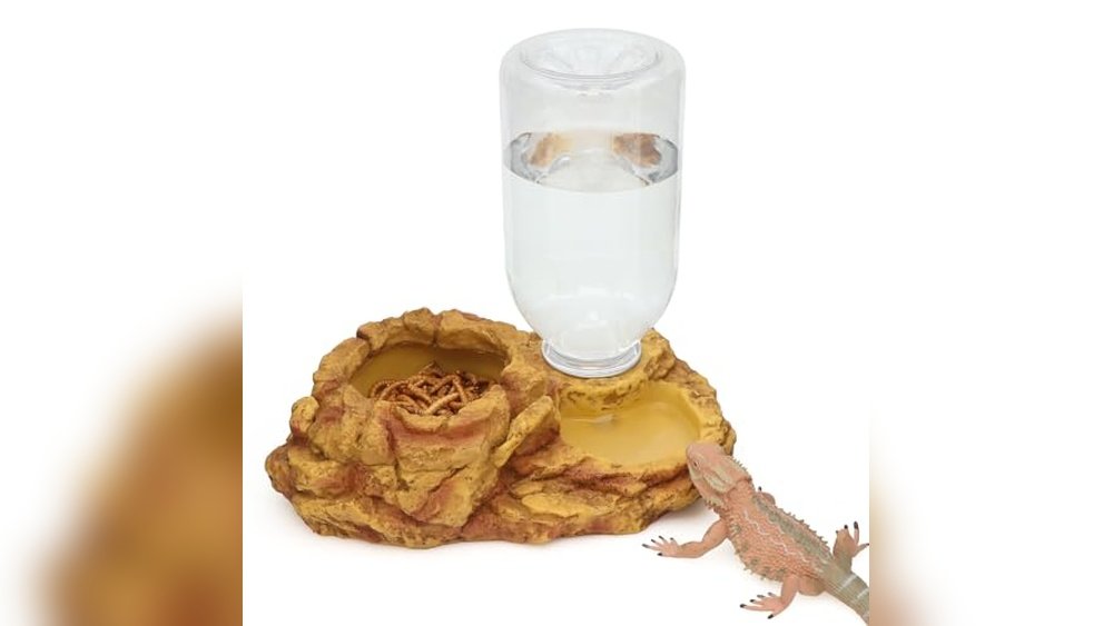 Best Amphibian Care And Feeding Combo Kit