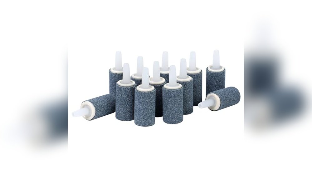 Best Aquarium Air Stones for Amphibians