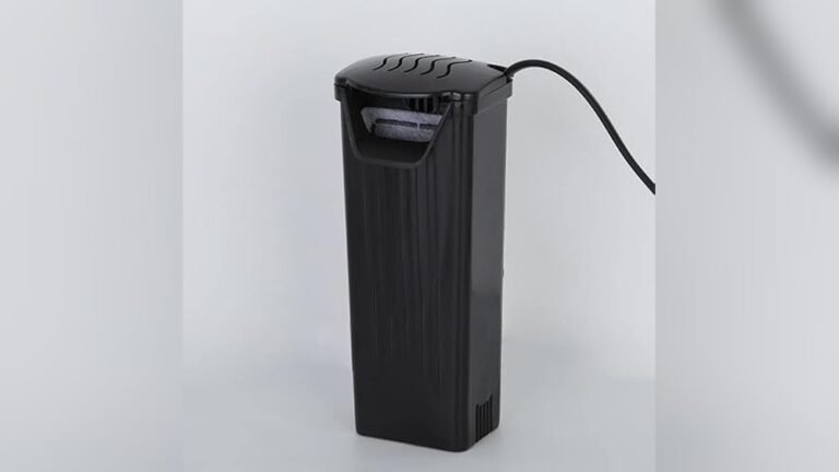 Best Aquarium Filter for Frog Tank