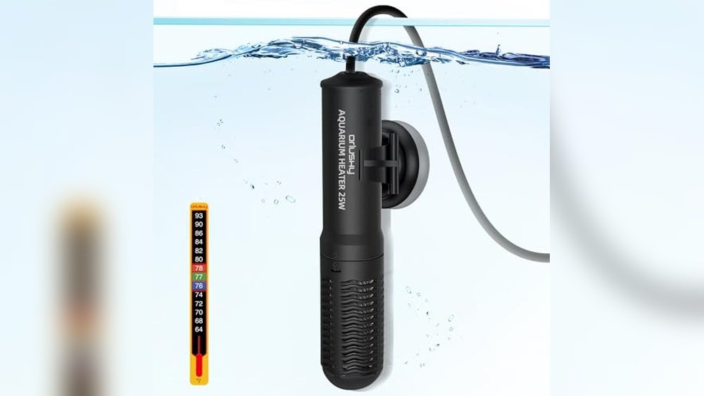 Best Aquarium Heater for Newts