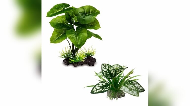 Best Artificial Plants for Amphibian Tank