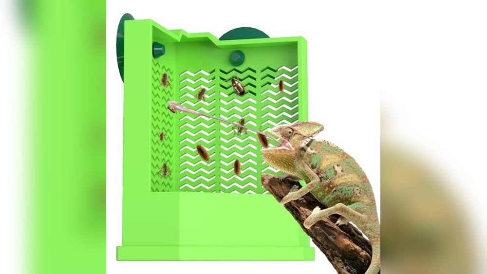Best Automatic Insect Feeder for Frogs