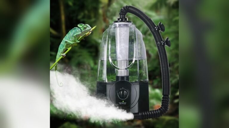 Best Automatic Lighting System for Amphibian Tanks