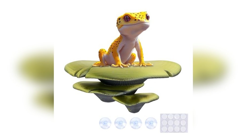 Best Bamboo Terrarium Decor for Tree Frogs