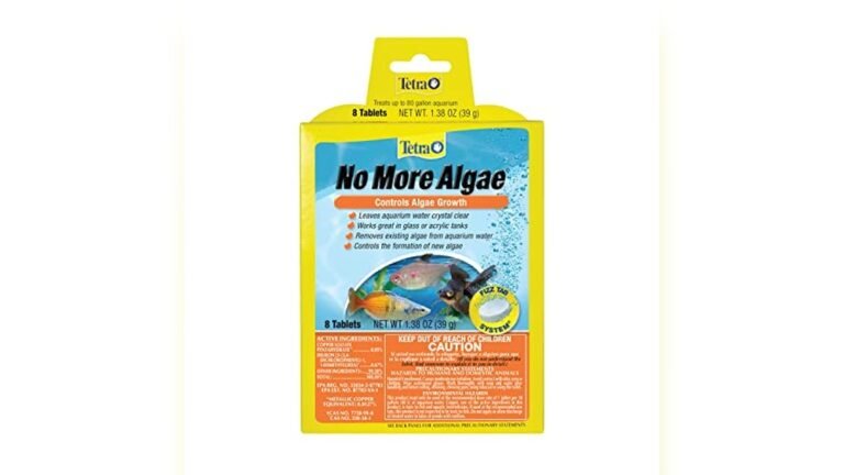 Best Bioactive Tank Cleaner Bugs