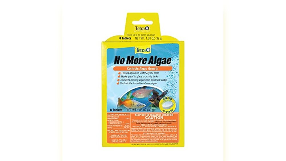 Best Bioactive Tank Cleaner Bugs