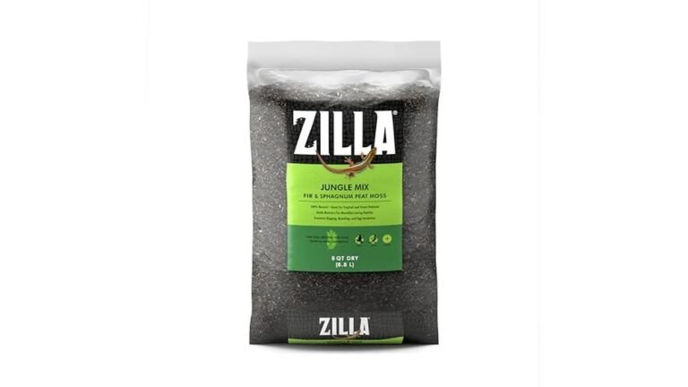 Best Bioactive Terrarium Substrate