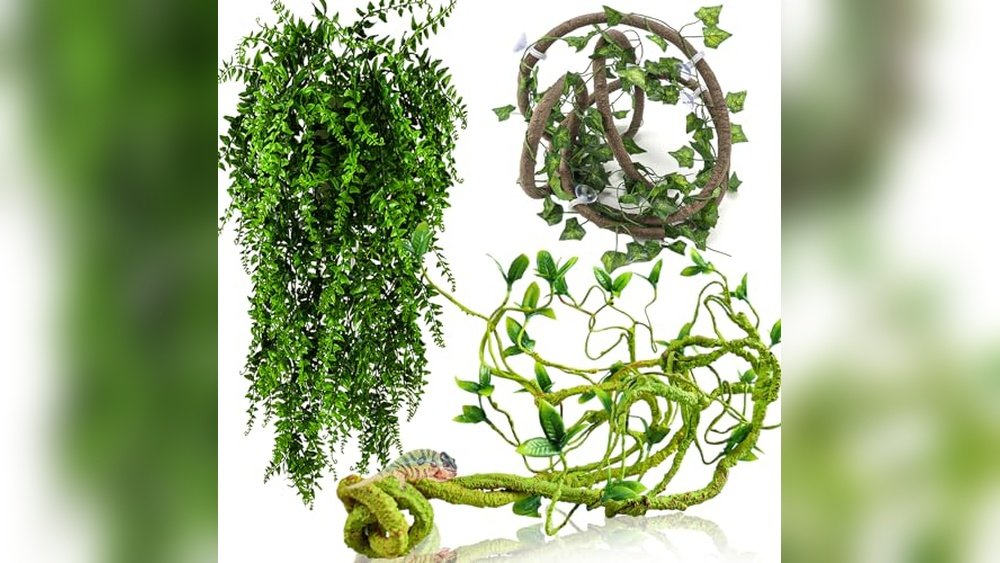 Best Climbing Vines for Frogs