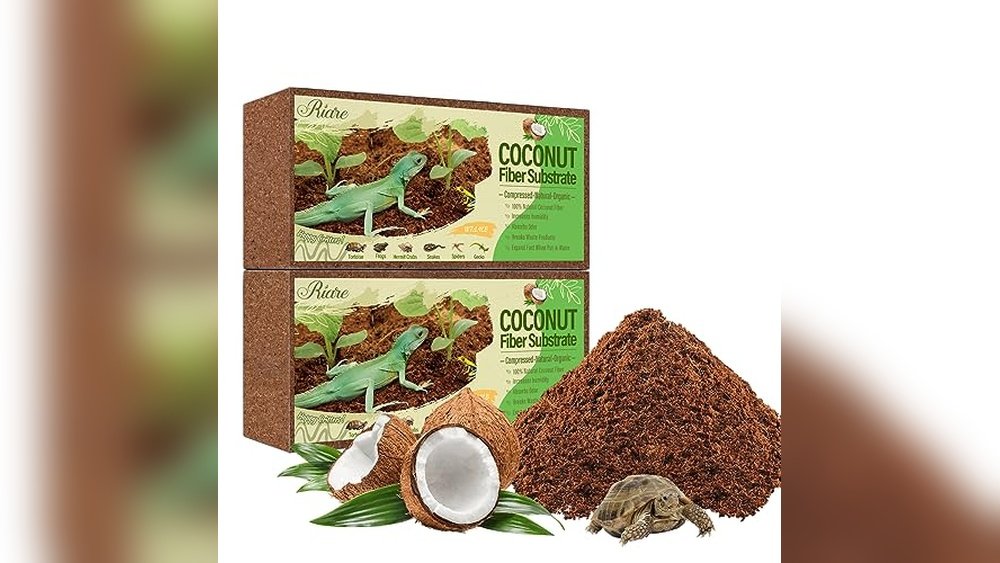 Best Coconut Substrate for Amphibians
