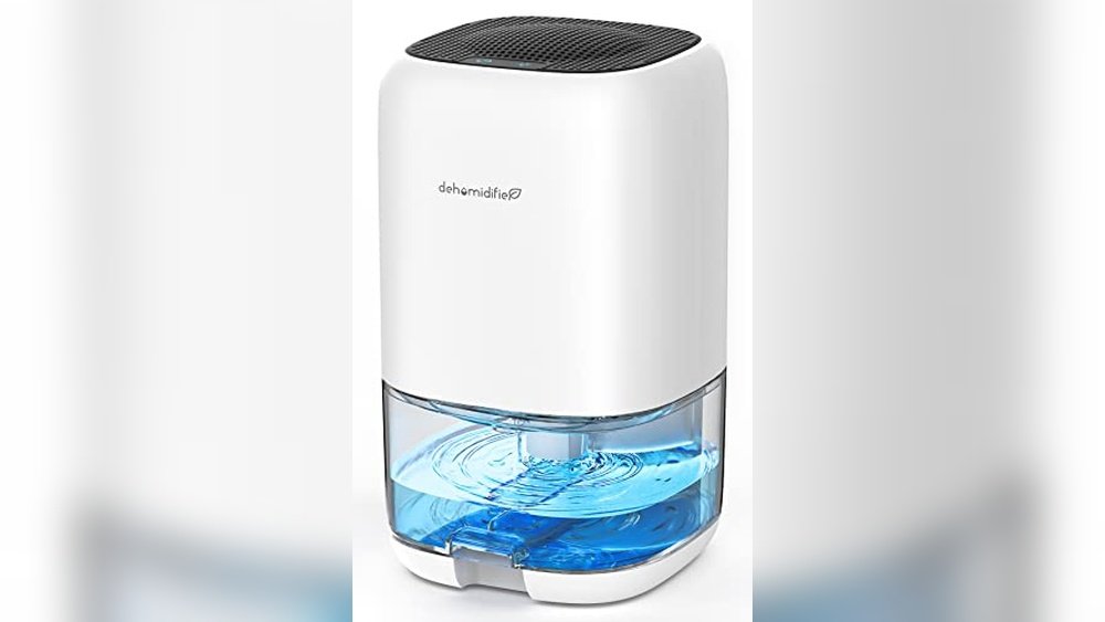 Best Compact Dehumidifier for Amphibian Room