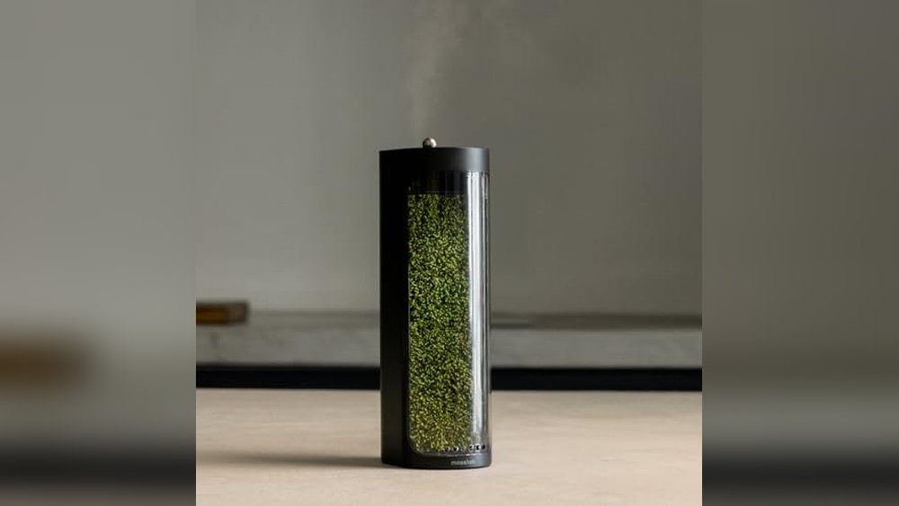 Best Compact Mist Generator for Terrarium