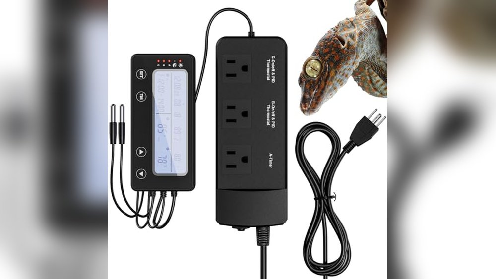 Best Digital Timer Thermostat Combo for Frogs