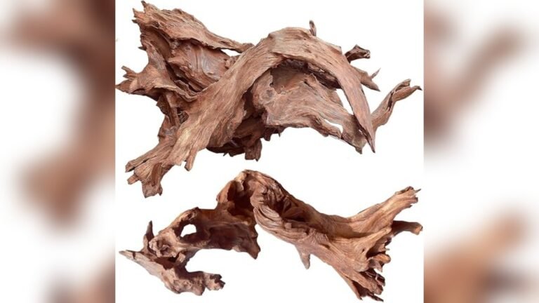 Best Driftwood for Amphibian Tank