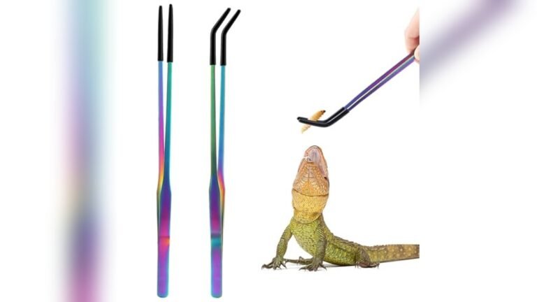 Best Feeding Tongs for Amphibians