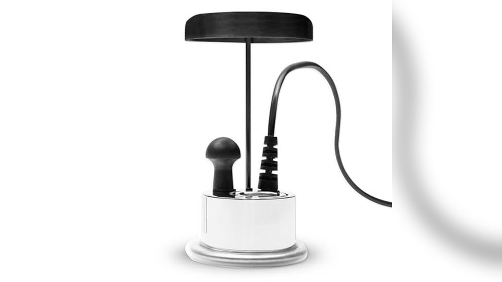 Best Fogger for Paludarium Setup