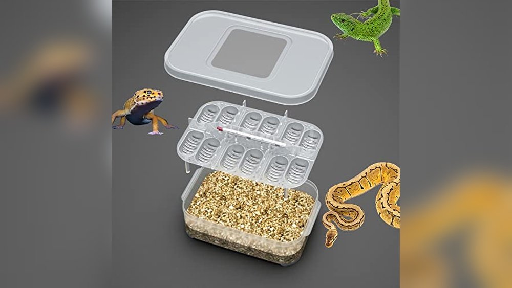 Best Frog Egg Incubation Tray With Lid