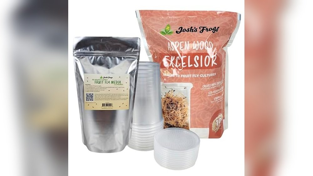 Best Fruit Fly Culture Kit for Dart Frogs