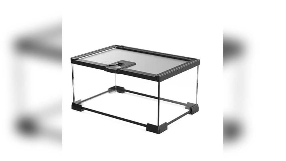 Best Glass Terrarium for Frogs: Top Durable and Stylish Enclosures Reviewed