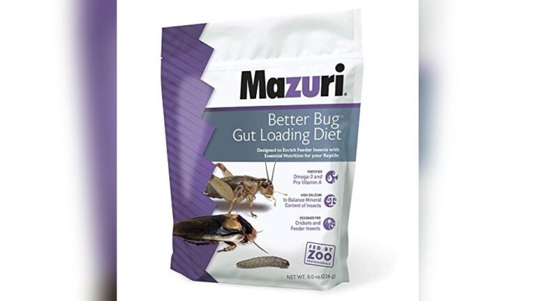Best Gut Load Food for Feeder Insects to Boost Nutrition and Health ...