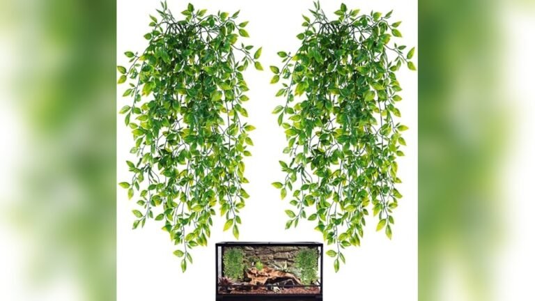 Best Hanging Vines for Tree Frogs