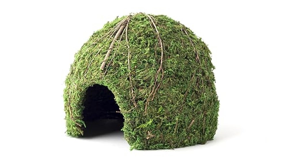 Best Humidity Dome for Frog Tanks