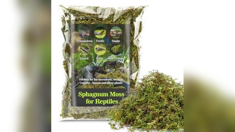 Best Humidity Retaining Substrate for Frogs