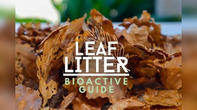 best leaf litter for bioactive terrarium