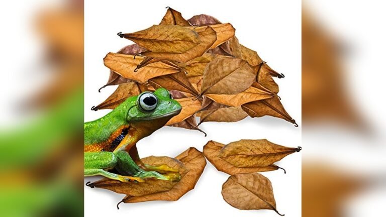Best Leaf Litter Substrate for Dart Frog Tanks