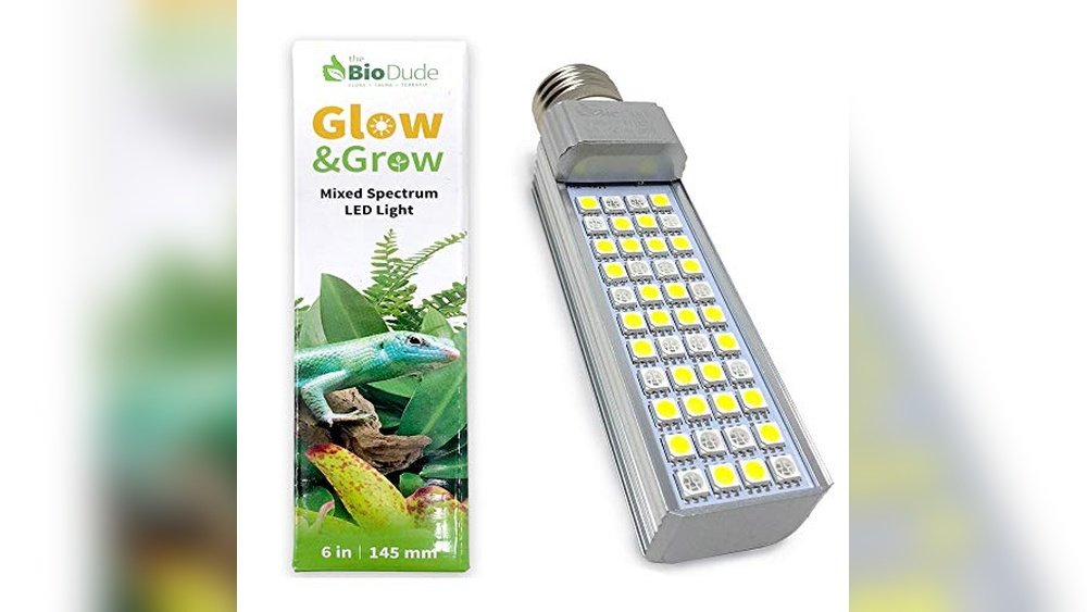 Best Led Grow Light for Amphibian Plants