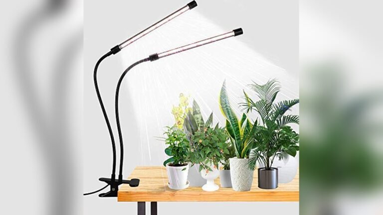 Best Led Plant Light for Amphibian Tanks