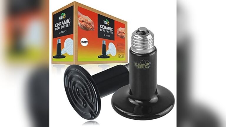 Best Low Watt Heater for Amphibians
